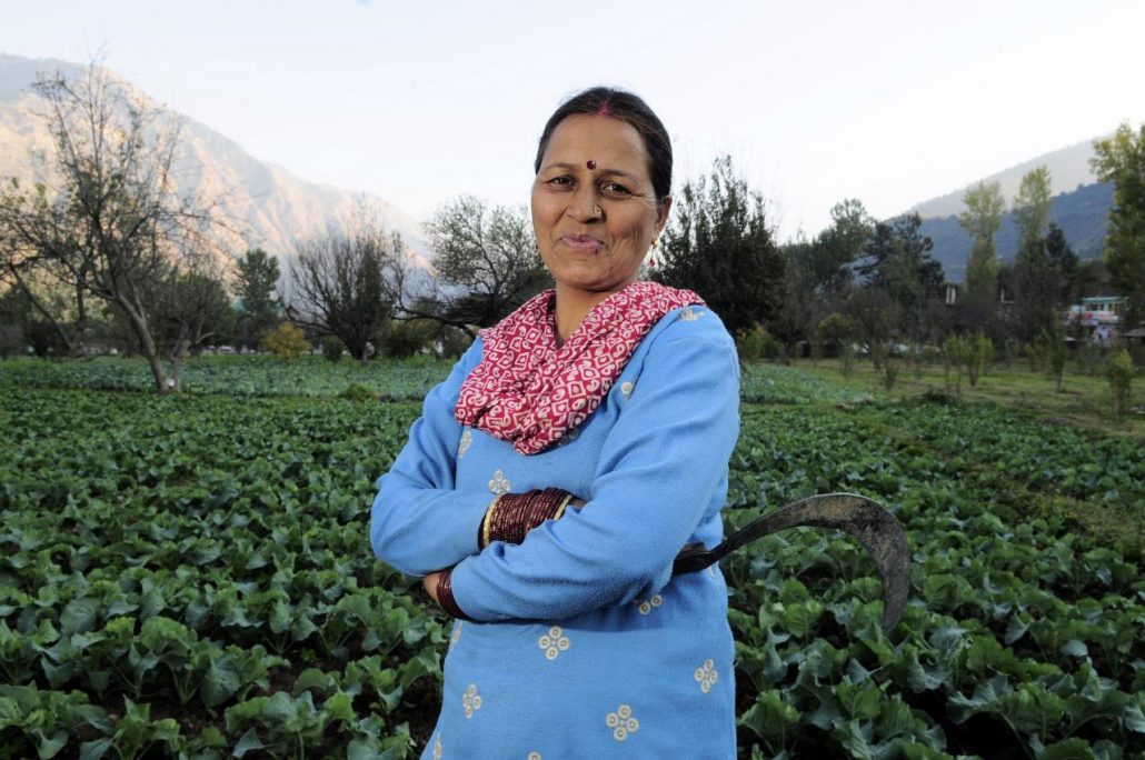 Women farmer in Himachal Pradesh, India